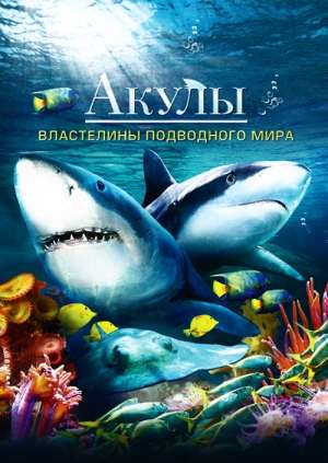 Акулы 3D: Властелины подводного мира 2013
